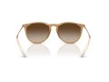 Ray-Ban Erika Solglasögon RB 4171 681413