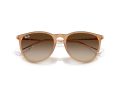 Ray-Ban Erika Solglasögon RB 4171 681413