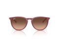 Ray-Ban Erika Solglasögon RB 4171 6815A5
