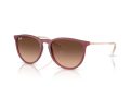 Ray-Ban Erika Solglasögon RB 4171 6815A5