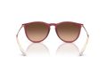 Ray-Ban Erika Solglasögon RB 4171 6815A5