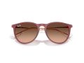 Ray-Ban Erika Solglasögon RB 4171 6815A5