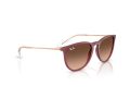 Ray-Ban Erika Solglasögon RB 4171 6815A5