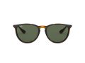 Ray-Ban Erika Solglasögon RB 4171 710/71