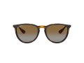 Ray-Ban Erika Solglasögon 4171 710/T5
