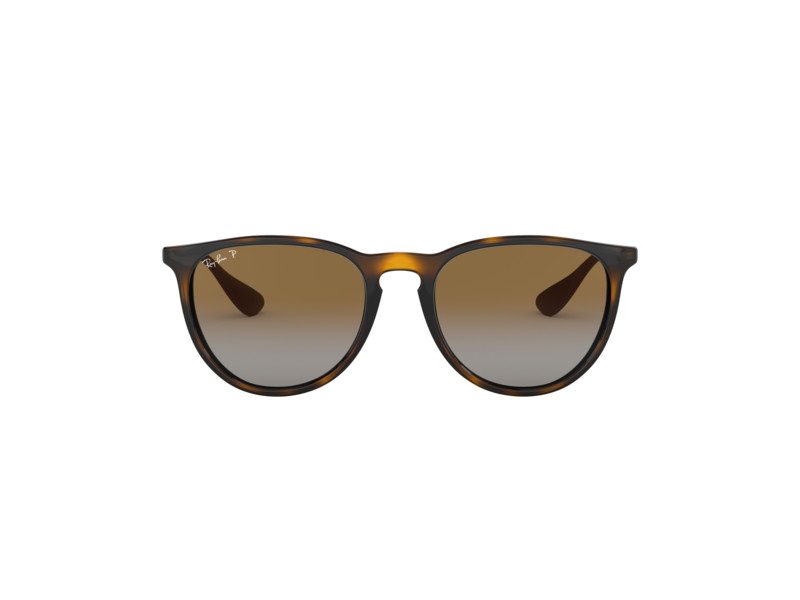 Ray-Ban Erika Solglasögon RB 4171 710/T5