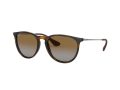 Ray-Ban Erika Solglasögon 4171 710/T5