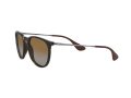 Ray-Ban Erika Solglasögon 4171 710/T5