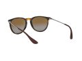 Ray-Ban Erika Solglasögon 4171 710/T5