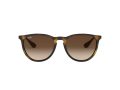 Ray-Ban Erika Solglasögon RB 4171 865/13