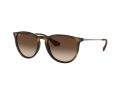 Ray-Ban Erika Solglasögon RB 4171 865/13
