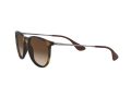 Ray-Ban Erika Solglasögon RB 4171 865/13