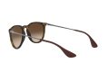 Ray-Ban Erika Solglasögon RB 4171 865/13