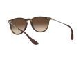 Ray-Ban Erika Solglasögon RB 4171 865/13