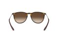 Ray-Ban Erika Solglasögon RB 4171 865/13