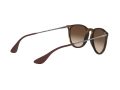 Ray-Ban Erika Solglasögon RB 4171 865/13