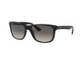 Ray-Ban Rb4181 Solglasögon RB 4181 601/71