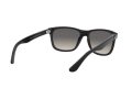 Ray-Ban Rb4181 Solglasögon RB 4181 601/71