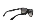 Ray-Ban Rb4181 Solglasögon RB 4181 601/71