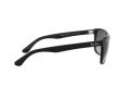Ray-Ban Rb4181 Solglasögon RB 4181 601/71