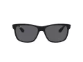 Ray-Ban Rb4181 Solglasögon RB 4181 601/87