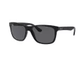 Ray-Ban Rb4181 Solglasögon RB 4181 601/87