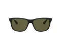Ray-Ban Rb4181 Solglasögon RB 4181 601/9A