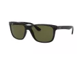 Ray-Ban Rb4181 Solglasögon RB 4181 601/9A