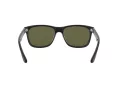 Ray-Ban Rb4181 Solglasögon RB 4181 601/9A