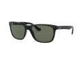 Ray-Ban Rb4181 Solglasögon RB 4181 601