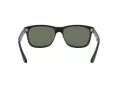 Ray-Ban Rb4181 Solglasögon RB 4181 601