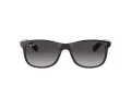 Ray-Ban Andy Solglasögon RB 4202 601/8G
