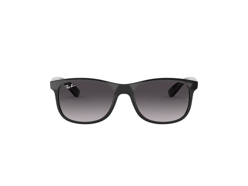 Ray-Ban Andy Solglasögon RB 4202 601/8G