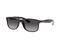 Ray-Ban Andy Solglasögon RB 4202 601/8G