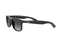 Ray-Ban Andy Solglasögon RB 4202 601/8G
