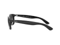 Ray-Ban Andy Solglasögon RB 4202 601/8G