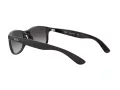 Ray-Ban Andy Solglasögon RB 4202 601/8G
