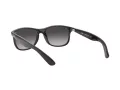 Ray-Ban Andy Solglasögon RB 4202 601/8G