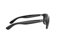Ray-Ban Andy Solglasögon RB 4202 601/8G