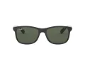 Ray-Ban Andy Solglasögon RB 4202 6069/71