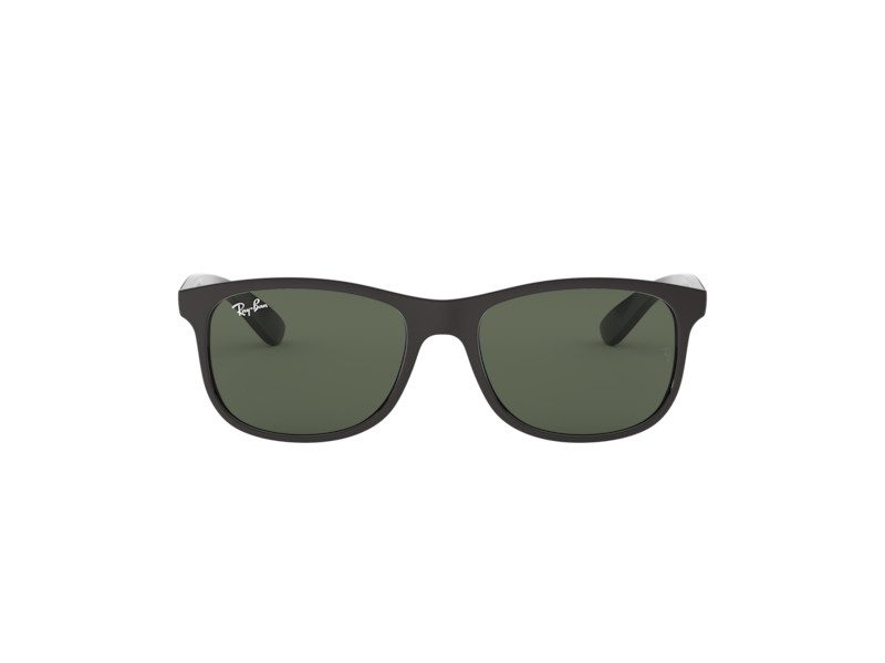 Ray-Ban Andy Solglasögon RB 4202 6069/71