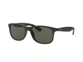 Ray-Ban Andy Solglasögon RB 4202 6069/71