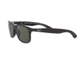 Ray-Ban Andy Solglasögon RB 4202 6069/71
