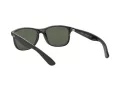 Ray-Ban Andy Solglasögon RB 4202 6069/71
