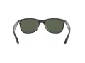 Ray-Ban Andy Solglasögon RB 4202 6069/71
