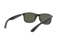Ray-Ban Andy Solglasögon RB 4202 6069/71