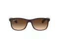 Ray-Ban Andy Solglasögon RB 4202 6073/13