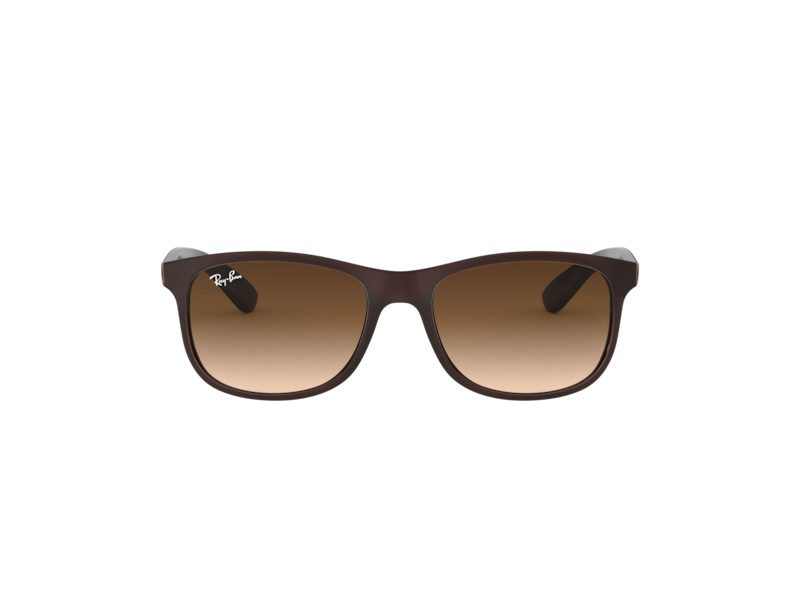 Ray-Ban Andy Solglasögon RB 4202 6073/13