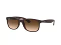 Ray-Ban Andy Solglasögon RB 4202 6073/13