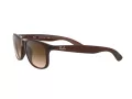 Ray-Ban Andy Solglasögon RB 4202 6073/13